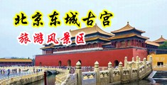 美女美B穴视频中国北京-东城古宫旅游风景区